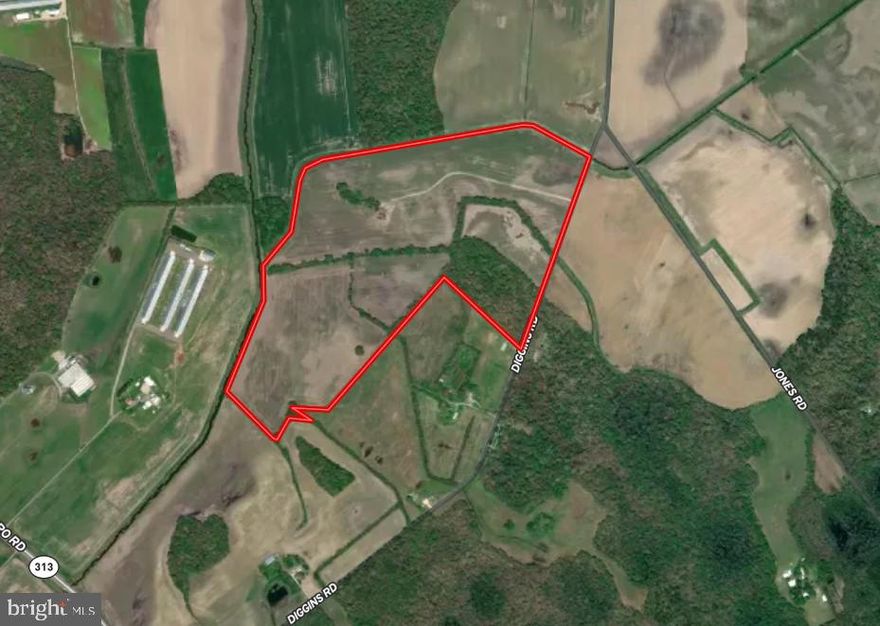 98+/- acre farm located off of Diggins Road and Southeast of Ingleside, MD. The property consists of 87+/- tillable acres with the remaining 11+/- acres being consisting of timber and hedgerow. Soils are a balance between Longmarsh/indiantown soils, Fallsington, woodstown, and ingleside sandy loams.