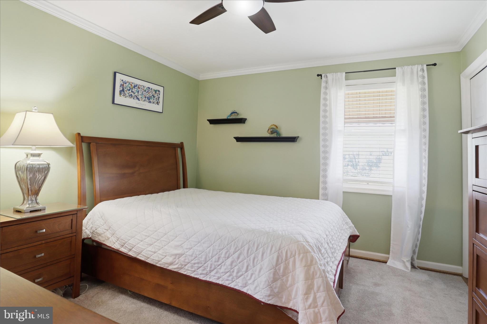NORTH SPRINGFIELD - Residential
