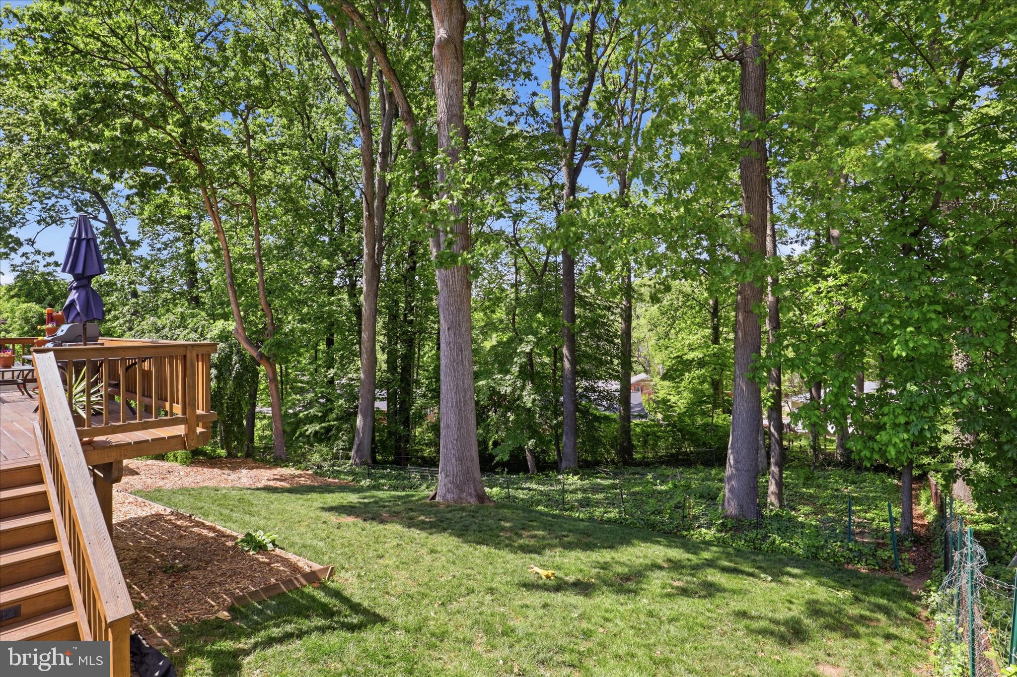 NORTH SPRINGFIELD - Residential