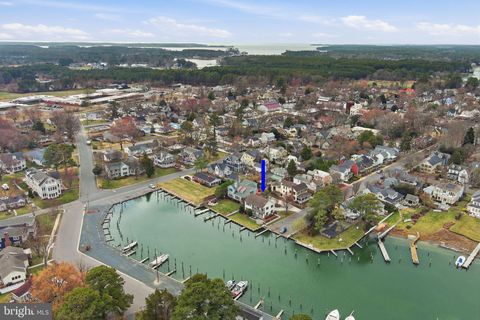 222 CHESTNUT SAINT MICHAELS MD 21663