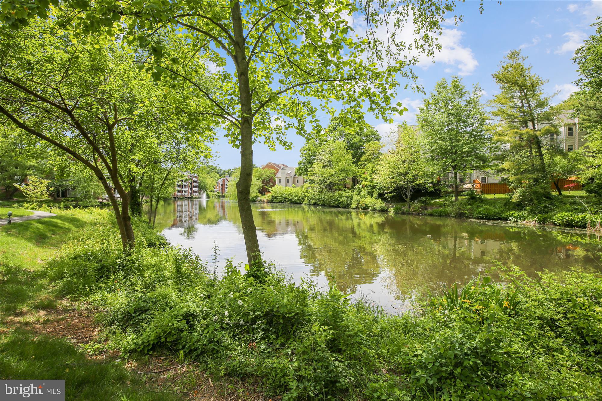 THE COVE - Residential