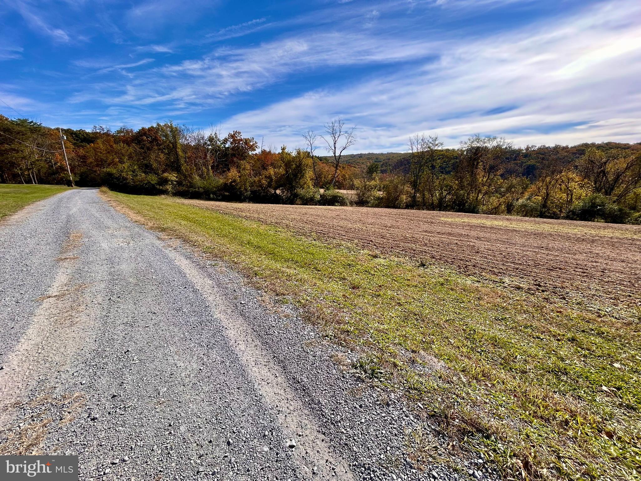 PLANTATION ROAD