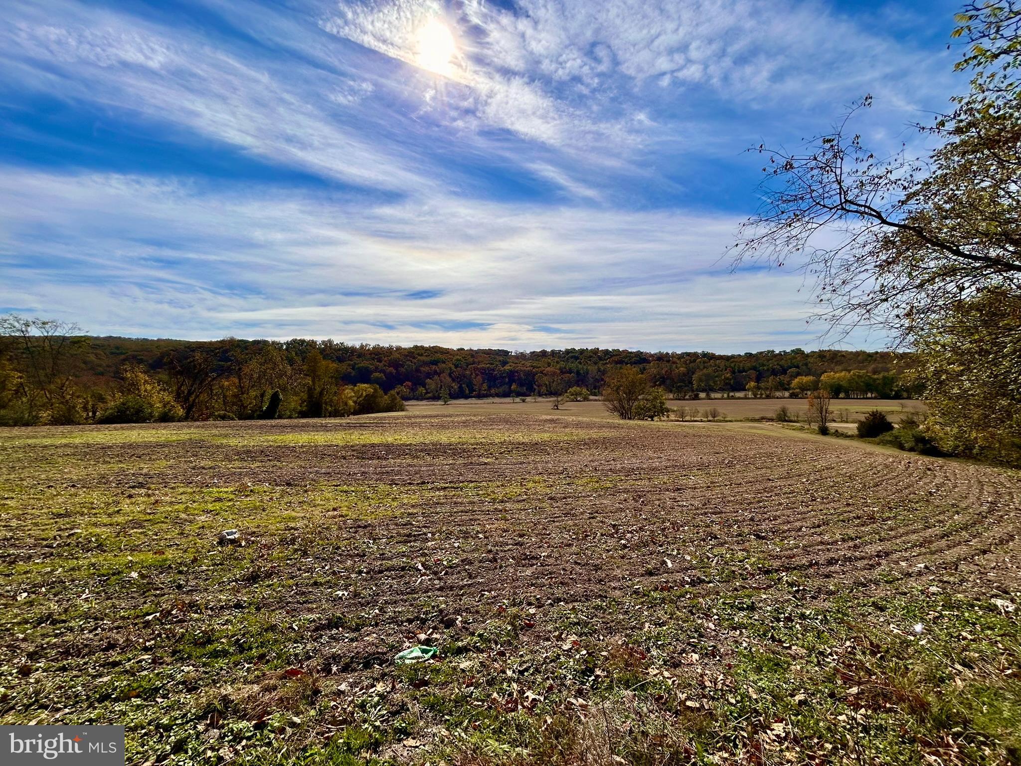 PLANTATION ROAD
