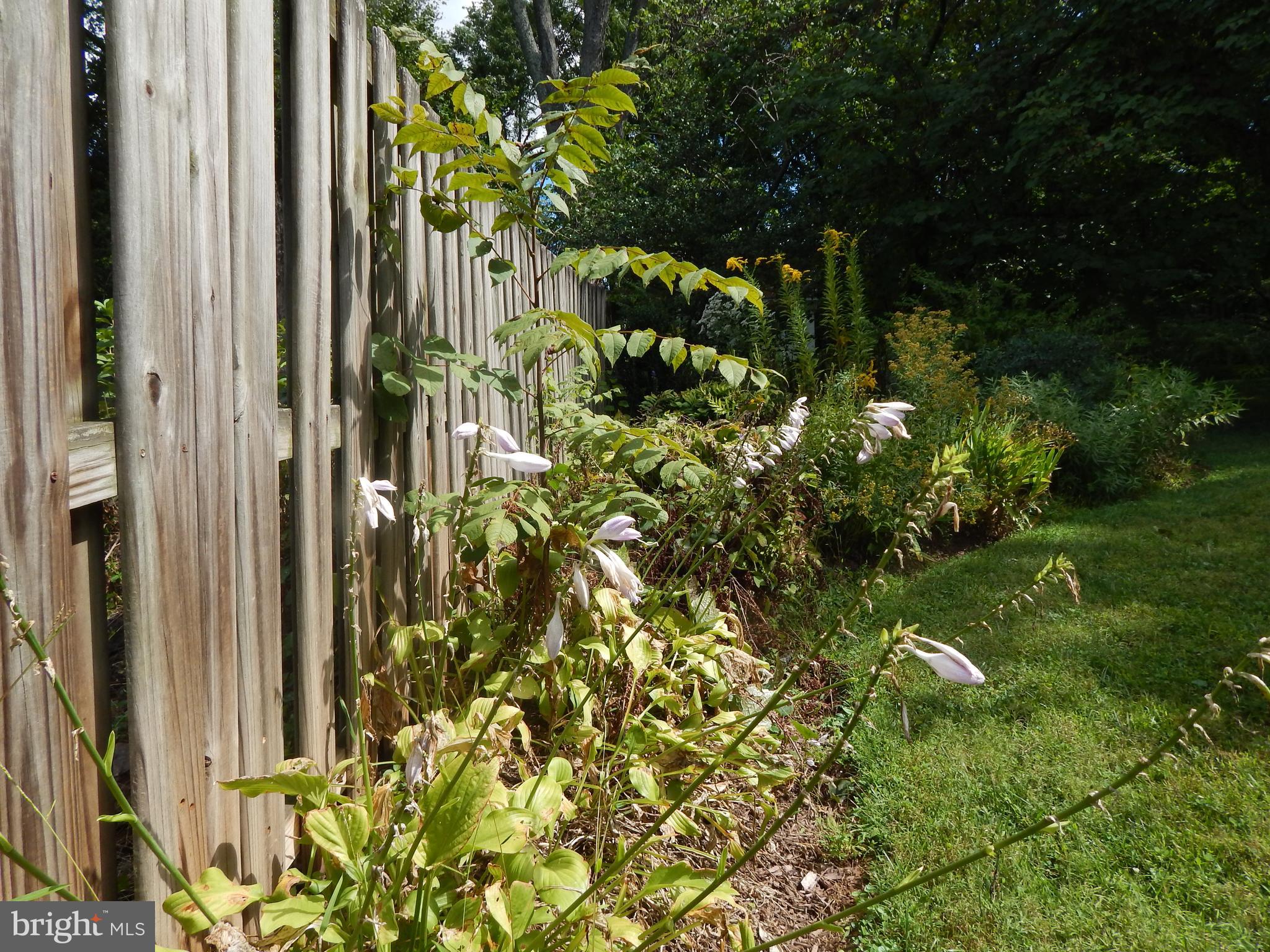 MEADOWBROOK ESTATES - Residential