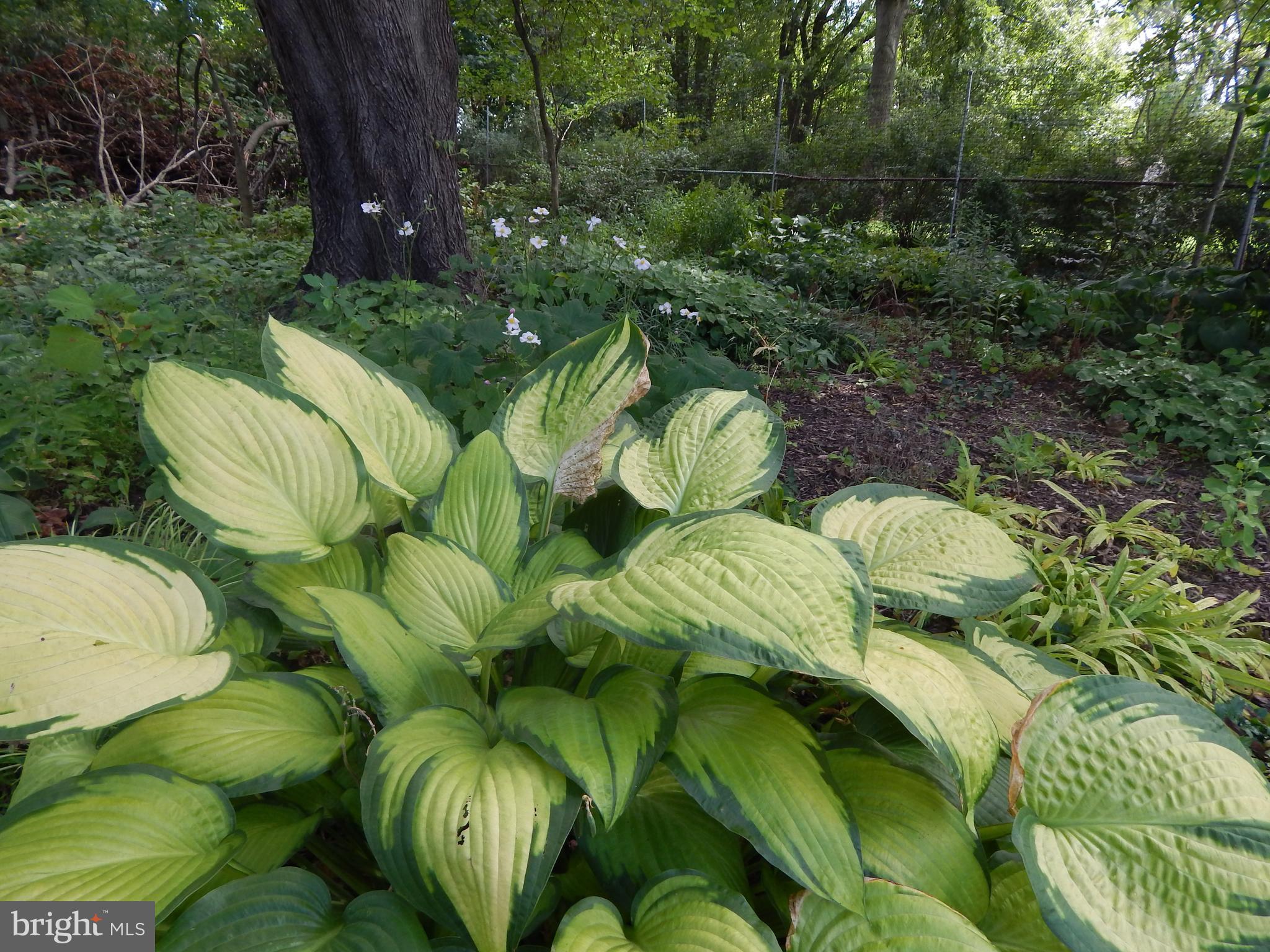 MEADOWBROOK ESTATES - Residential