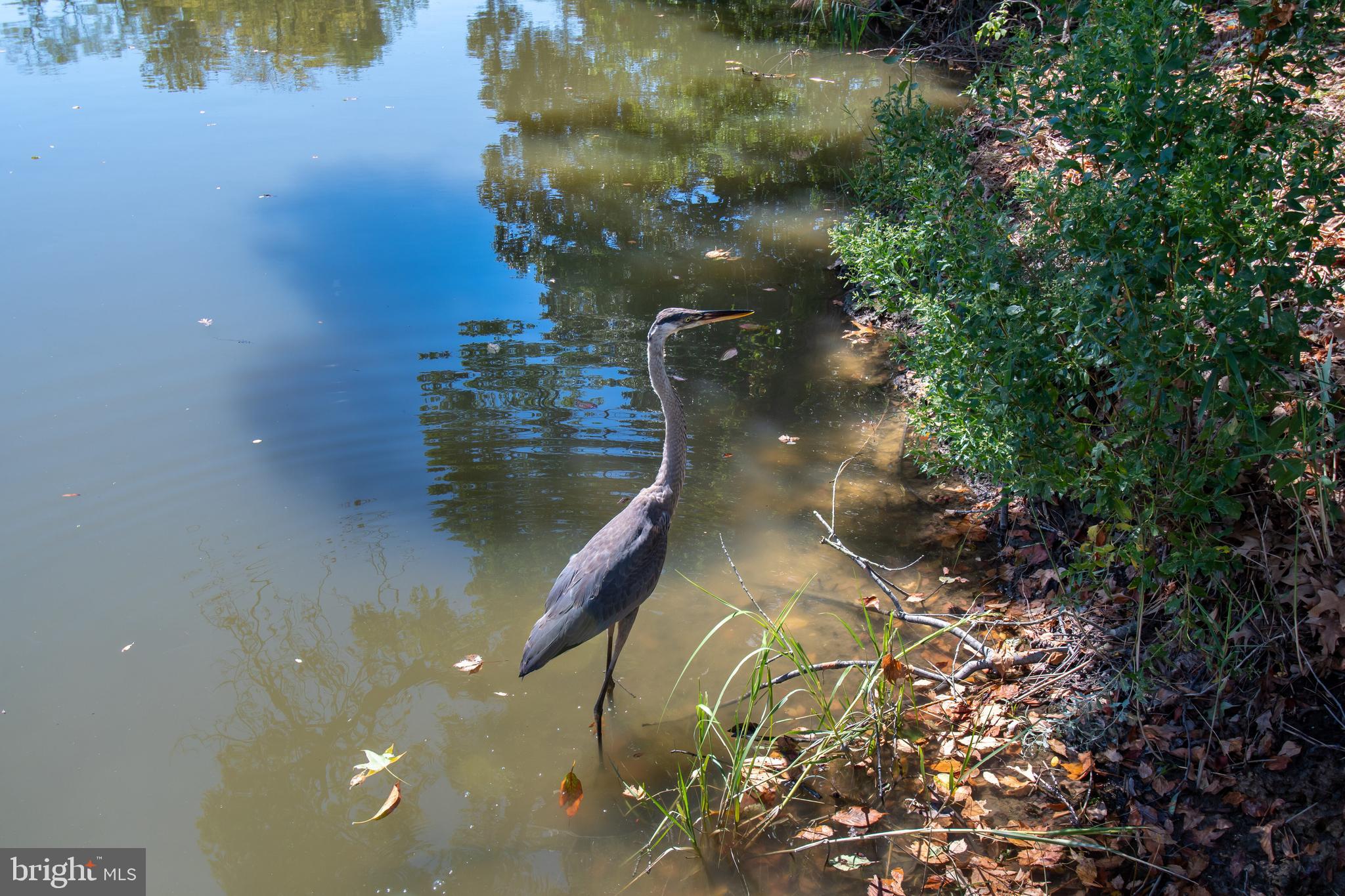 PROSPECT BAY - Residential