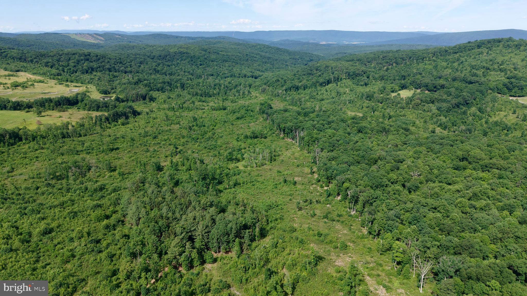 0 ENID MOUNTAIN ROAD