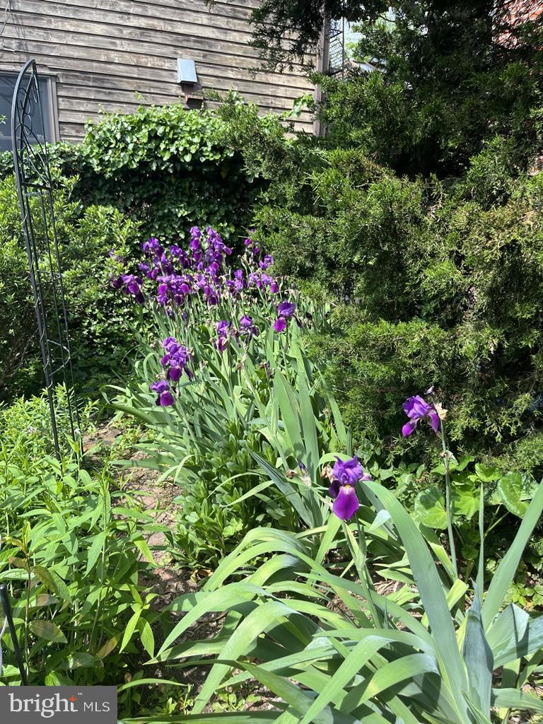 FISHTOWN - Residential Lease