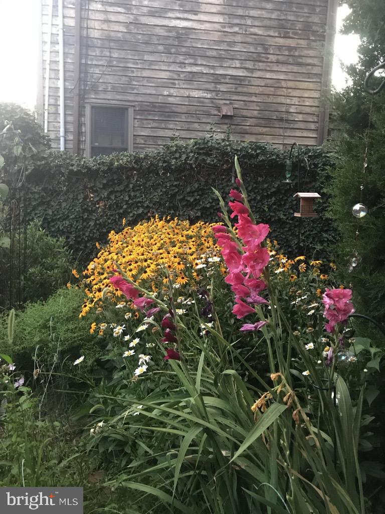 FISHTOWN - Residential Lease