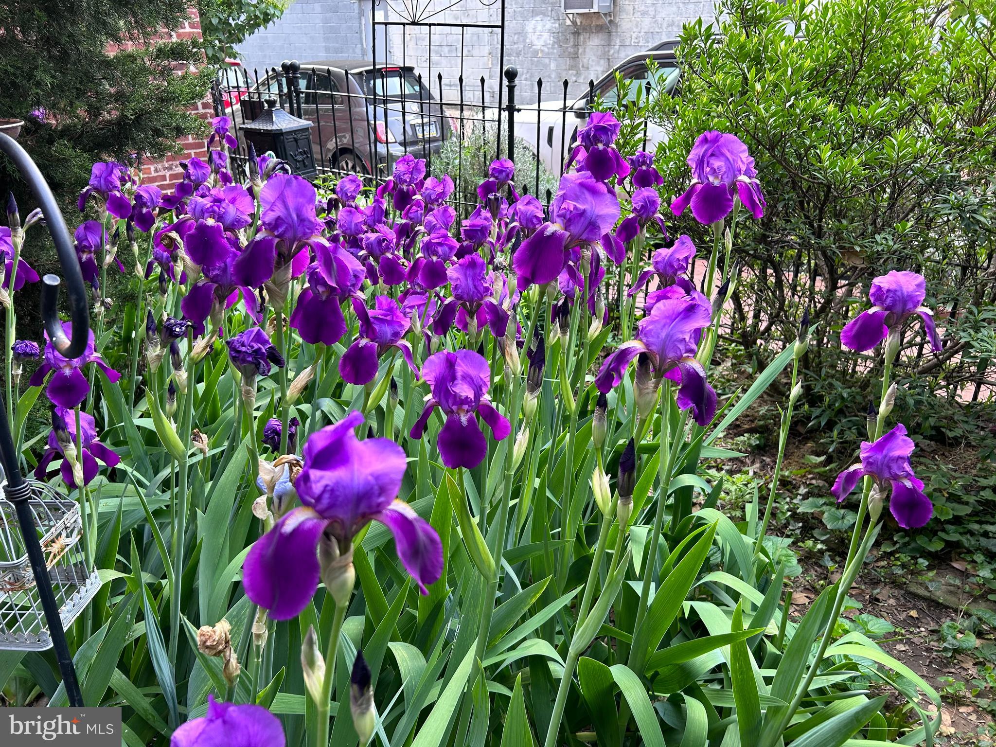 FISHTOWN - Residential Lease