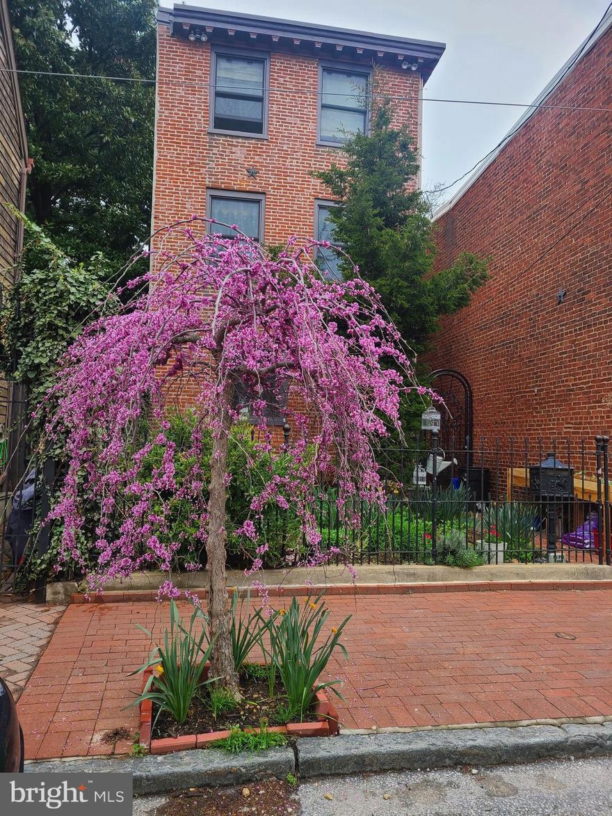 Welcome to 245 E Wildey in the heart of Fishtown—where creativity and design collide in an architectural gem. This 4-story, stand-alone home is a true masterpiece that blends historic charm with modern sophistication.

Enter through the 19th-century wrought iron gates and into a beautifully landscaped front yard. A towering cedar tree provides shade and privacy, while raised garden beds invite you to cultivate your own herbs and flowers. Step inside and you’re greeted by a living room with exposed brick, wooden beams, and a cozy wood-burning fireplace—a perfect spot to unwind.

Beyond the living room, you'll find a custom-designed kitchen by Craftwork Design that’s as functional as it is stylish. Concrete and butcher block countertops complement lapis cabinetry with brass hardware, while high-end stainless steel appliances—including a dual dishwasher—cater to the most discerning chef. A repurposed bar adds both charm and extra counter space, and additional storage seamlessly flows into the dining area, which is flooded with natural light. Perfect for your collection of house plants, the space also features a beverage fridge and wine rack, making it ideal for entertaining. The sliding back door opens to a private brick patio, bordered by high walls and shaded by towering pines.

On this level, a convenient half bath is tucked away for your guests' comfort.

Downstairs, the full, unfinished basement offers ample storage space, plus a washer and dryer for added convenience.

Upstairs, the second floor showcases beautifully designed custom wallpaper and well-maintained original hardwood floors and salvaged yellow pine from Provenance. Antique solid core doors add an extra touch of vintage appeal. The full bath features a copper soaking tub, creating a serene retreat. Two spacious bedrooms with exposed brick complete this level,  featuring a second laundry room—complete with a basin and drying racks—making laundry day a breeze.

The third floor is a true sanctuary, featuring two more spacious bedrooms—one with exposed brick and the other with custom wallpaper. A Juliet balcony offers a peek at lush treetops, and a luxurious full bath features a stunning walk-in shower with emerald-tiled accents.

For pet lovers, this home has been thoughtfully designed with raised catwalks and hidden doors for your feline friends to roam freely. A compartment with a discreet kitty door hides the litter box, keeping your home neat and tidy.

Finally, the roof deck is a showstopper, offering panoramic views of the waterfront, the Ben Franklin Bridge, and the Philadelphia skyline. Complete with comfortable seating and plenty of planters, it’s the perfect spot for relaxing or entertaining.

Located just two blocks from the vibrant Frankford Ave, you'll have easy access to Fishtown's nightlife, dining, boutique shopping, and more. Plus, the Frankford-Girard SEPTA station is only a 5-minute walk, giving you quick access to Center City, while I-95 is just half a mile away for easy commuting.

245 E Wildey is more than a home—it’s a lifestyle.

Floor plans will be added soon!