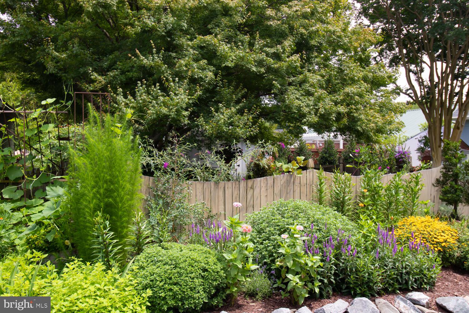 SAINT MICHAELS - Residential