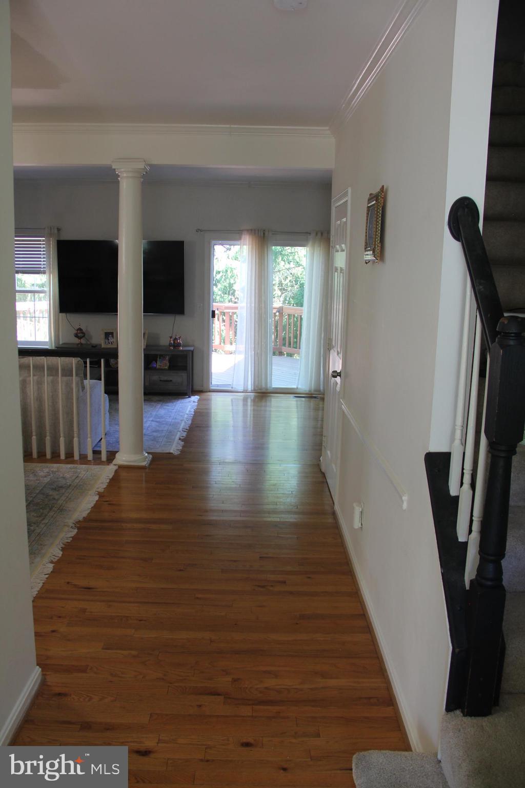 POTOMAC STATION - Residential