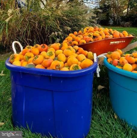 POTOMAC GLEN - Residential