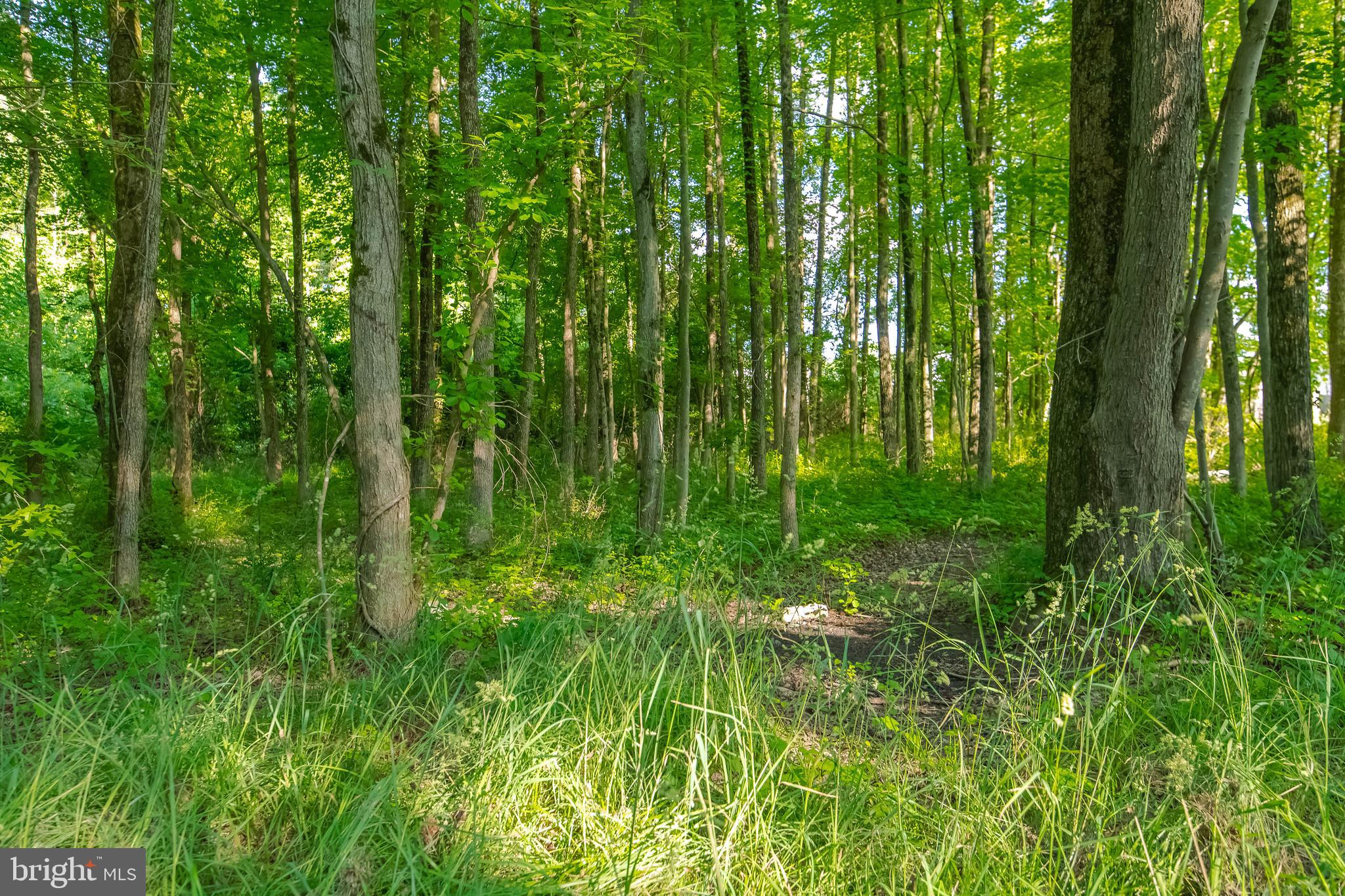 MIDDLE RIVER - Residential