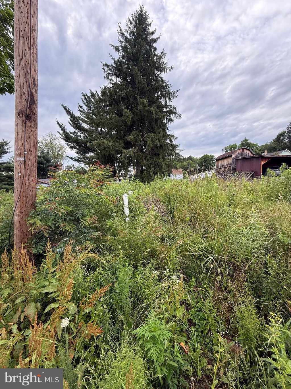 Photo of 47 Whitman Street, HAWK RUN, PA 16840 (MLS # PACD2044612)