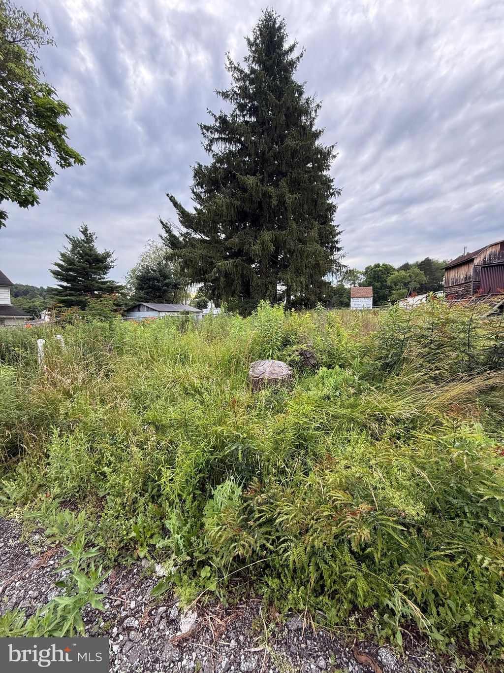 Photo of 47 Whitman Street, HAWK RUN, PA 16840 (MLS # PACD2044612)