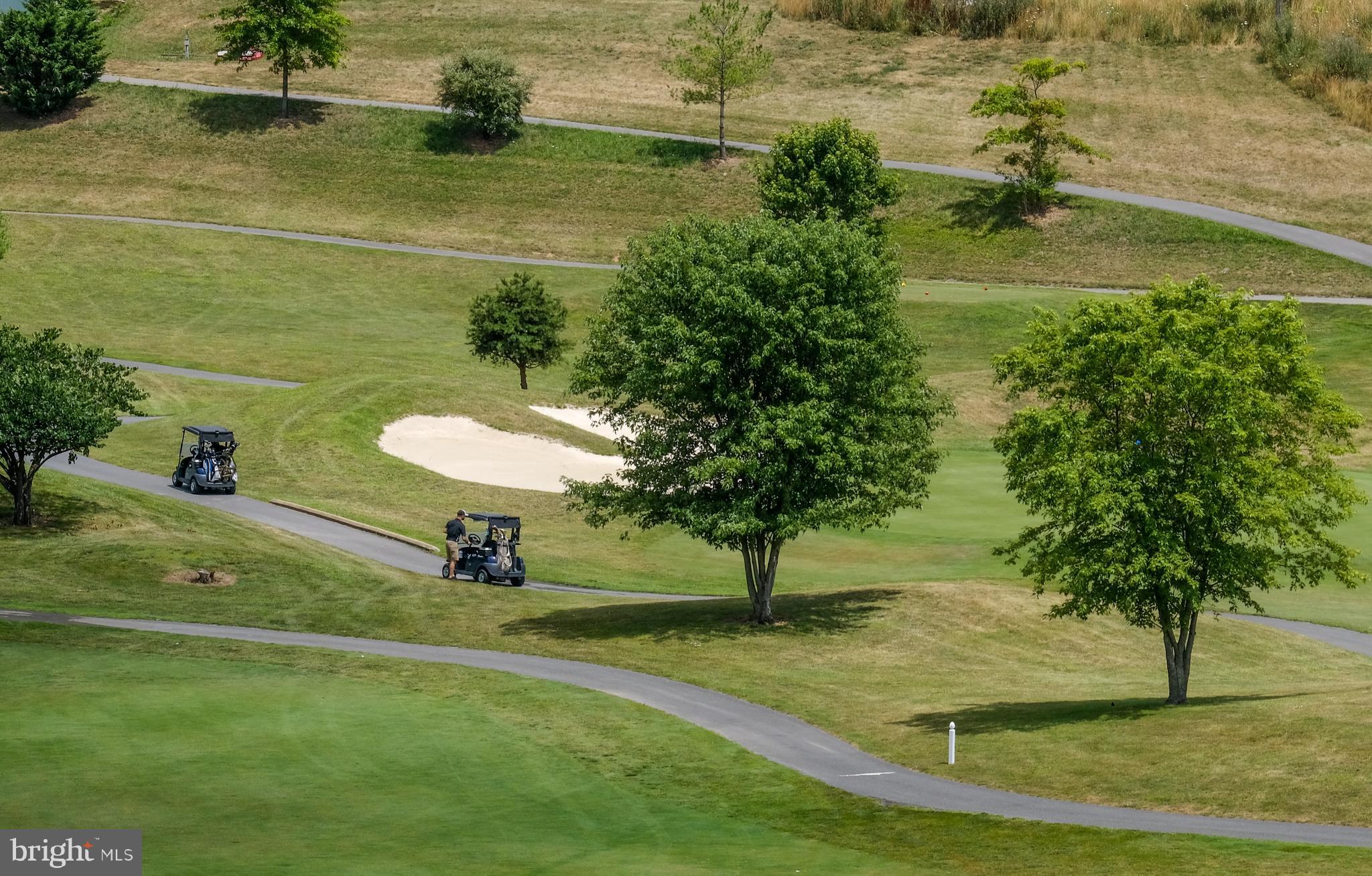 BLUE RIDGE SHADOWS TOWNS - Residential