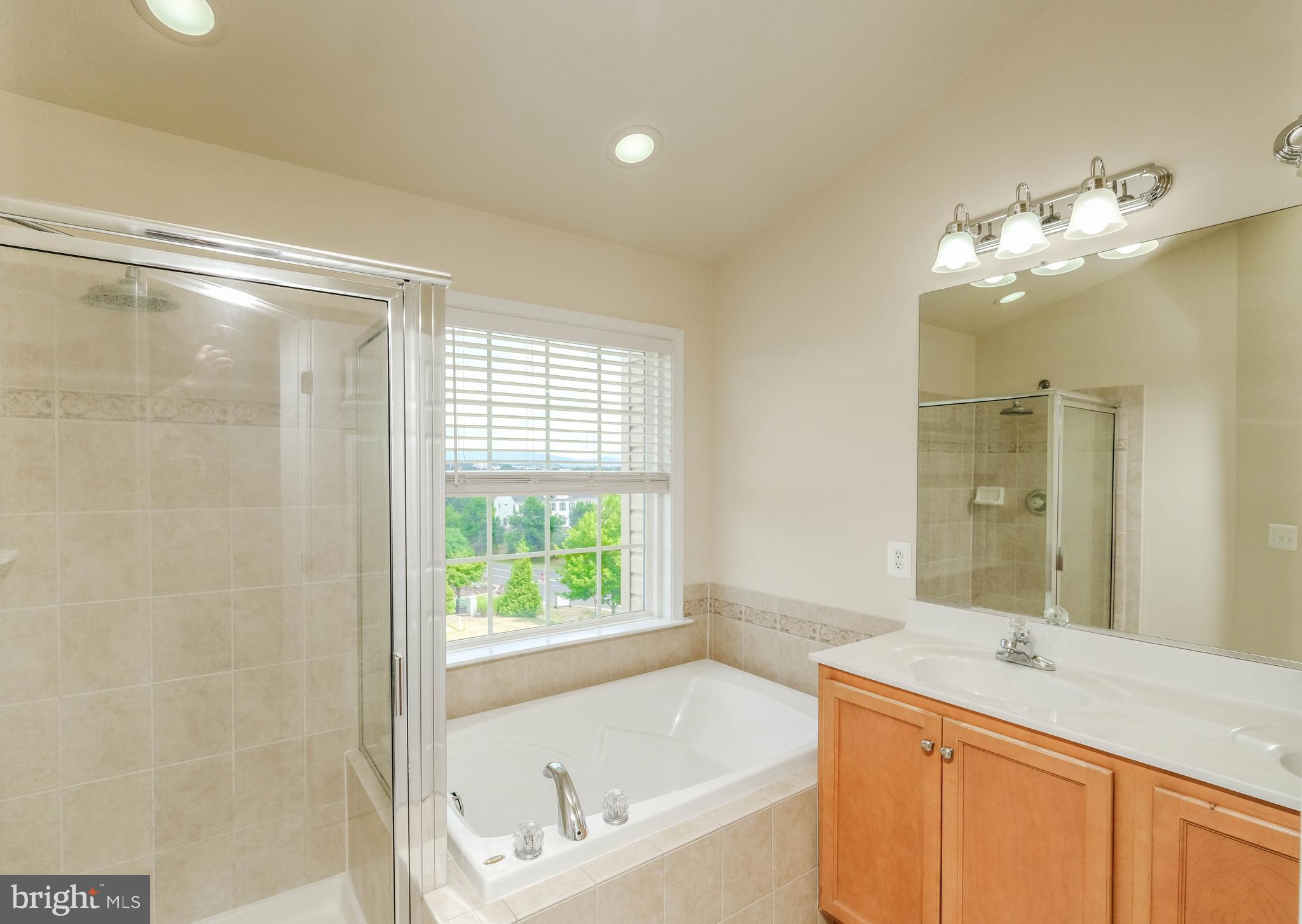 BLUE RIDGE SHADOWS TOWNS - Residential