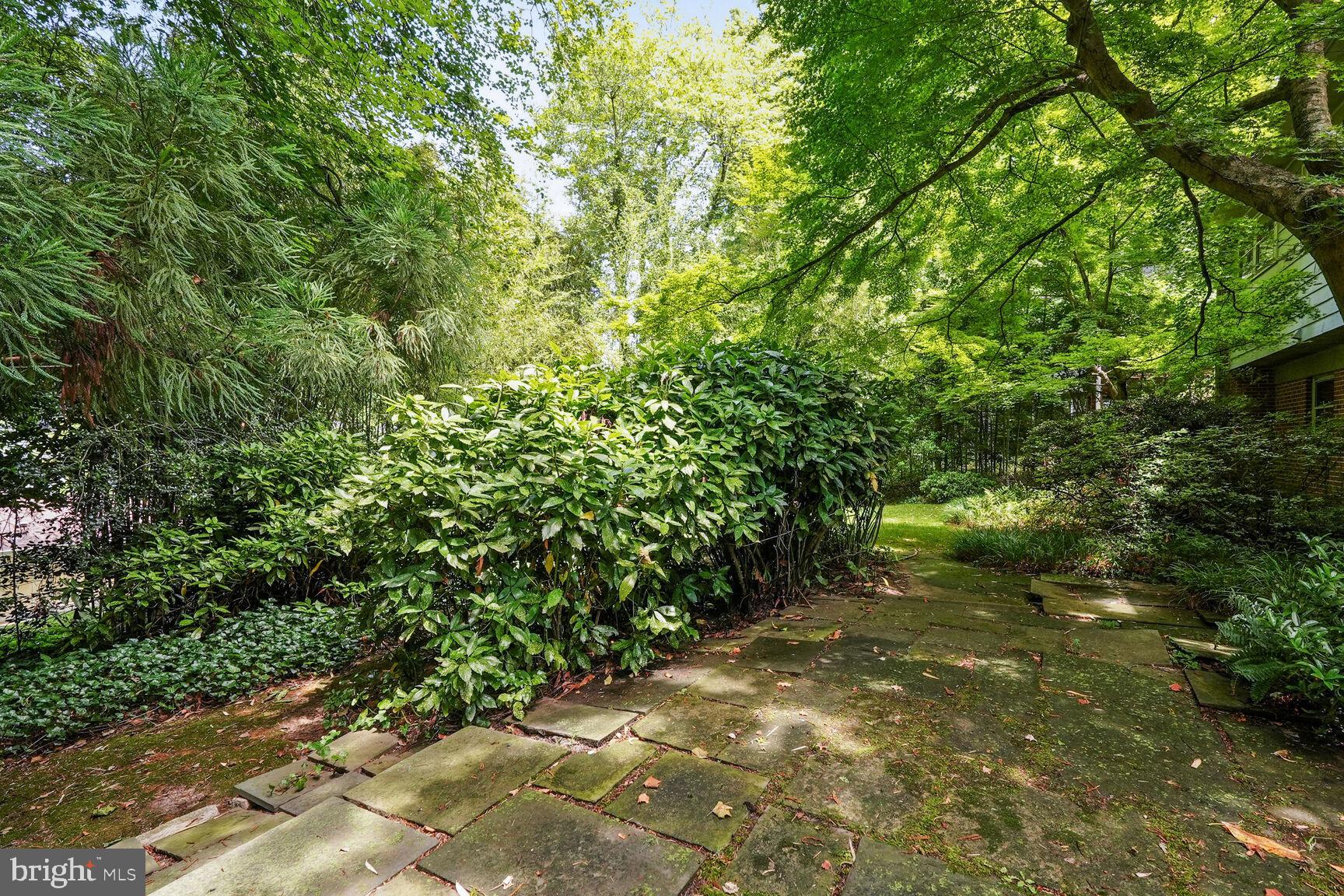 KENWOOD PARK - Residential