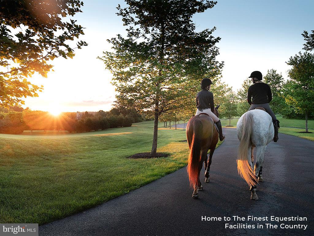 RESIDENCES AT SALAMANDER - Residential