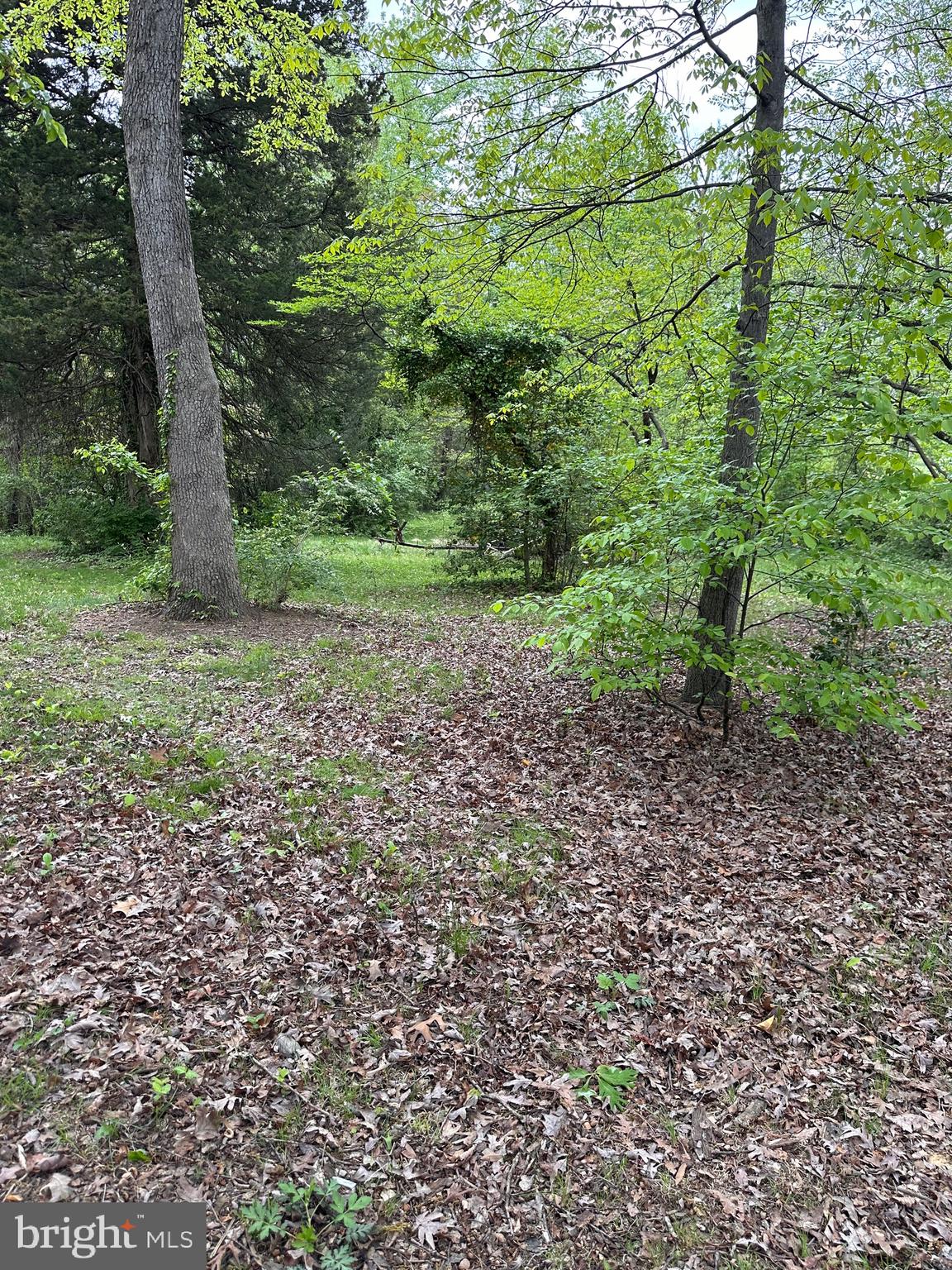 LANHAM - Residential