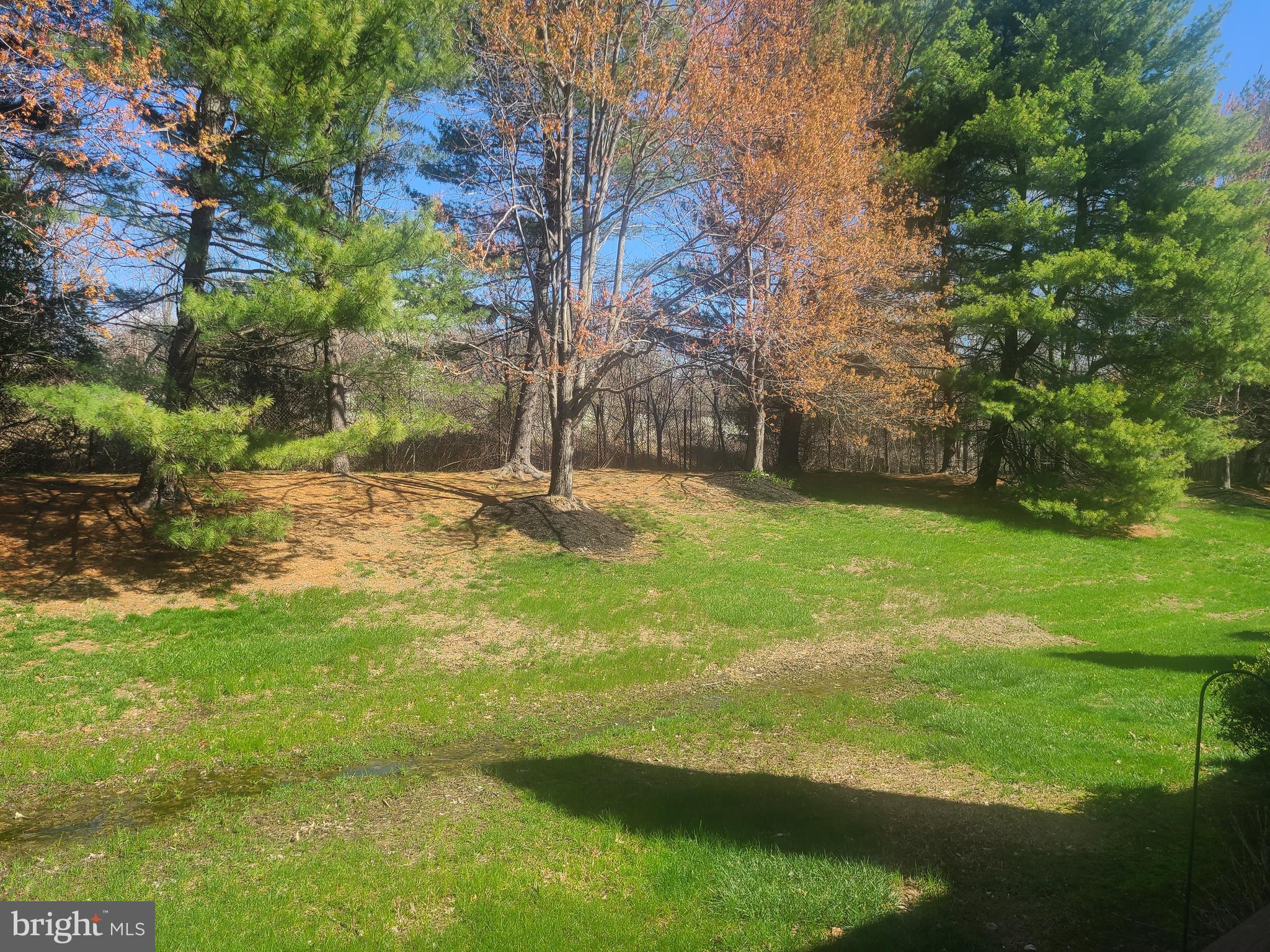 MONTGOMERY GREENE - Residential Lease