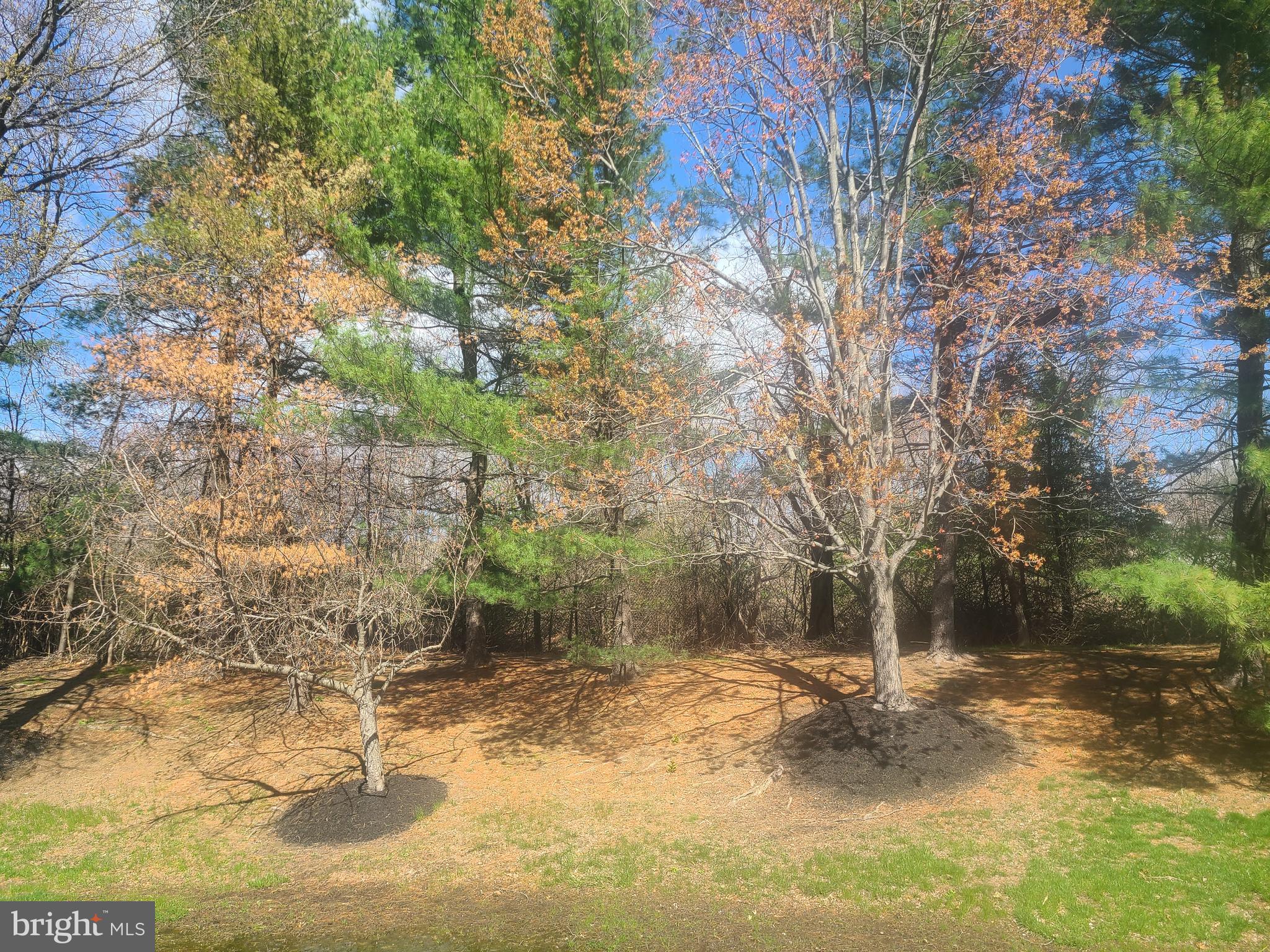 MONTGOMERY GREENE - Residential Lease