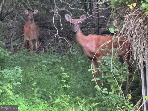Vacant Land For Sale - 3515 Clayton Road<br/> JOPPA, MD 21085