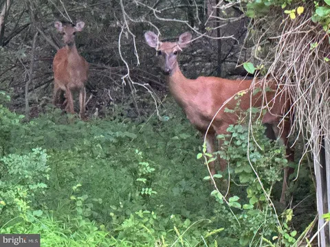 3515 Clayton Road, Joppa, MD MLS: MDHR2048988