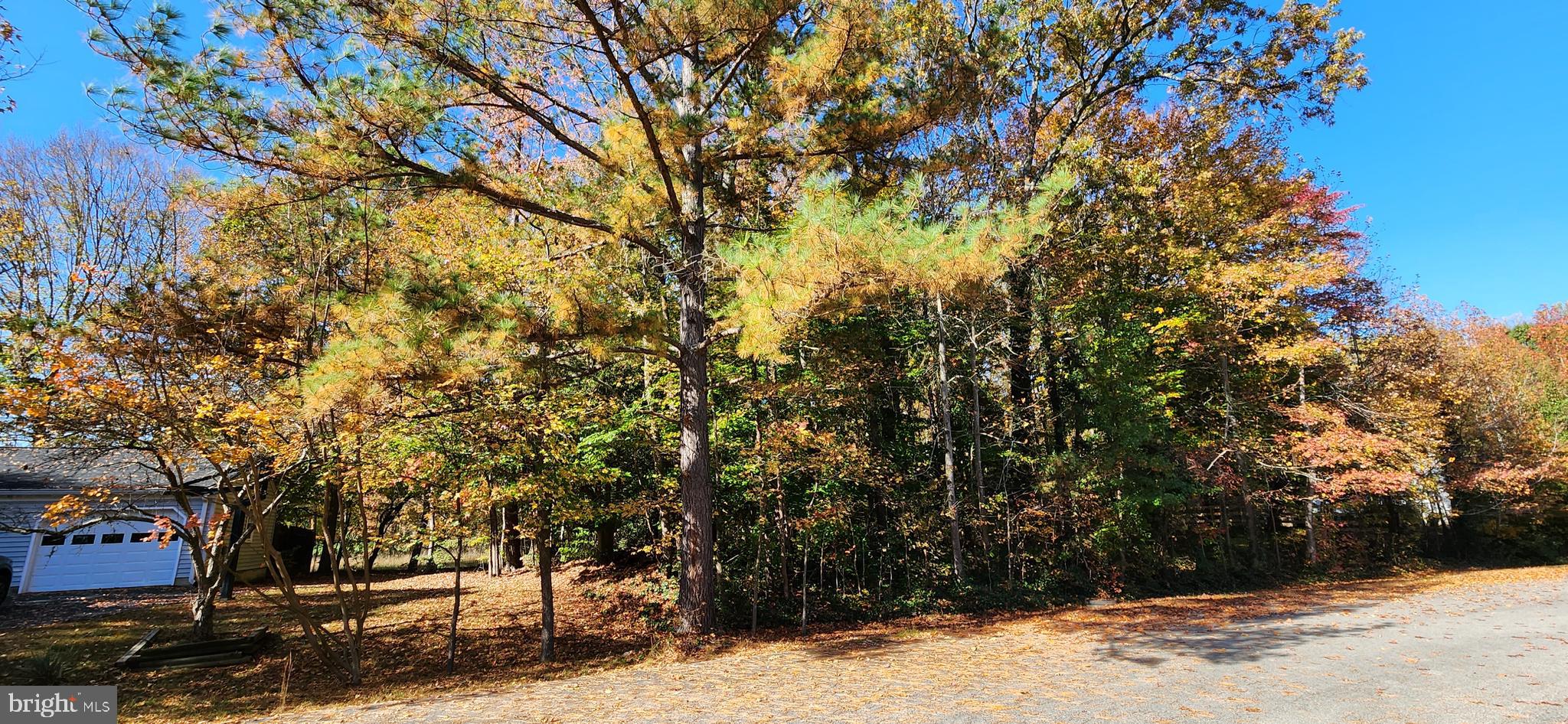 CLARKS RUN - Residential