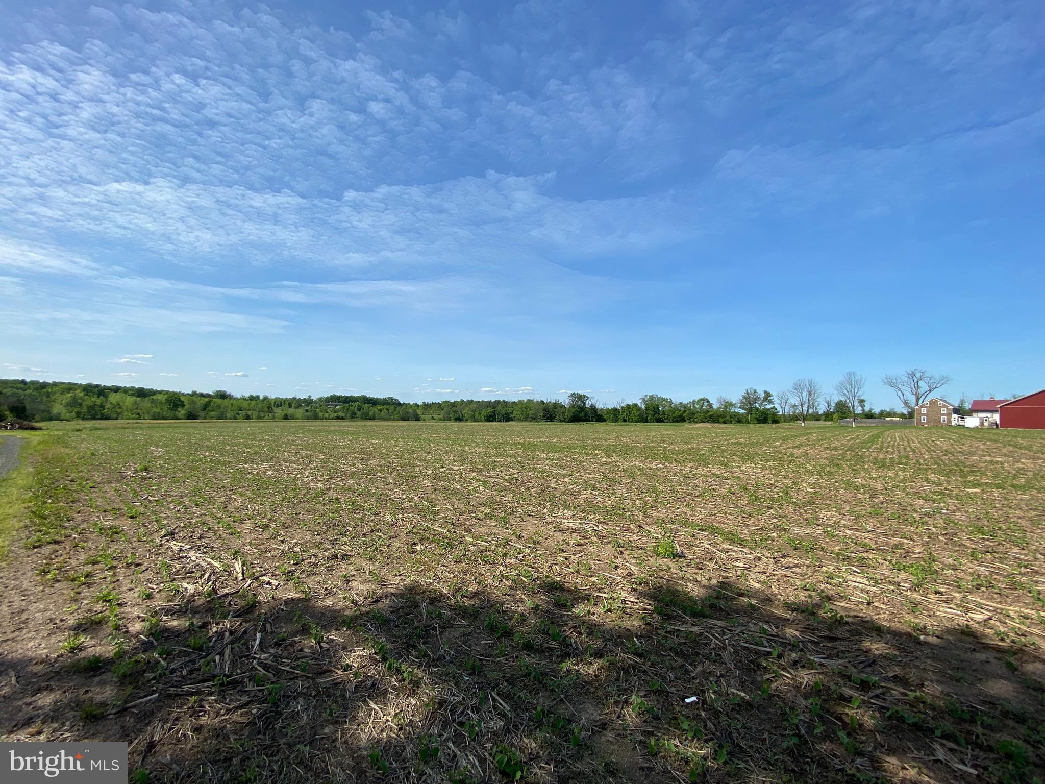 NONE AVAILABLE - Farm