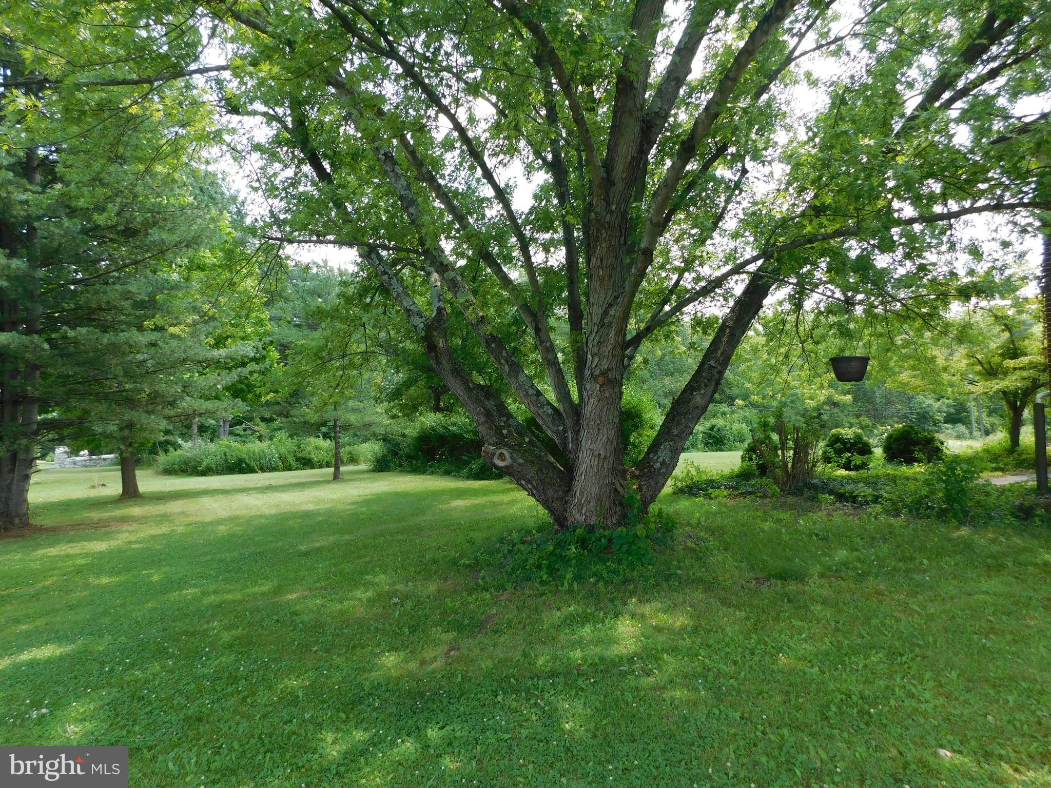 278 NEWTON ROAD