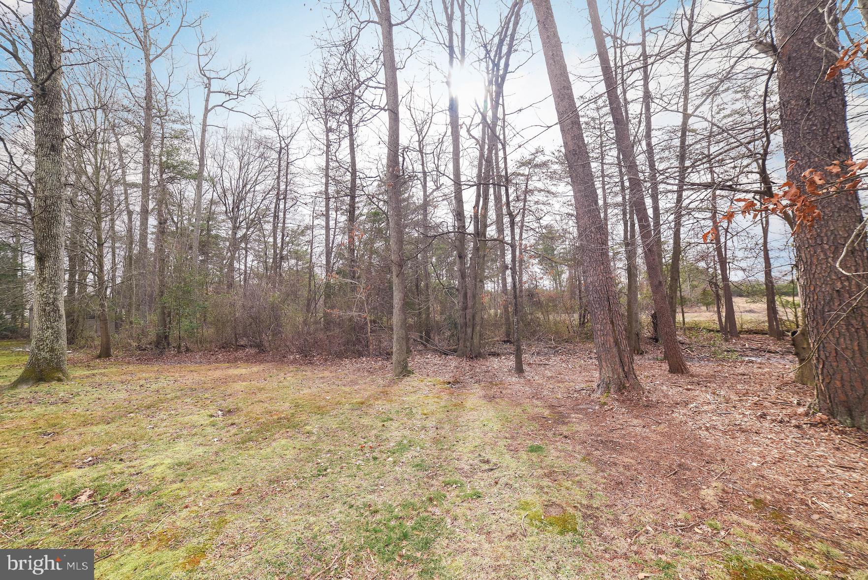 DORCHESTER - ST. CHARLES - Residential