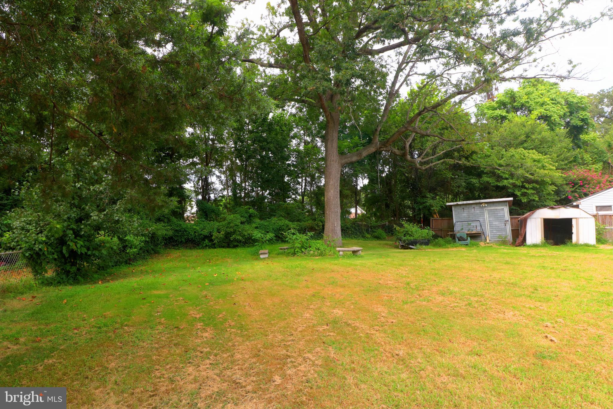 OLAN PLAZA - Residential