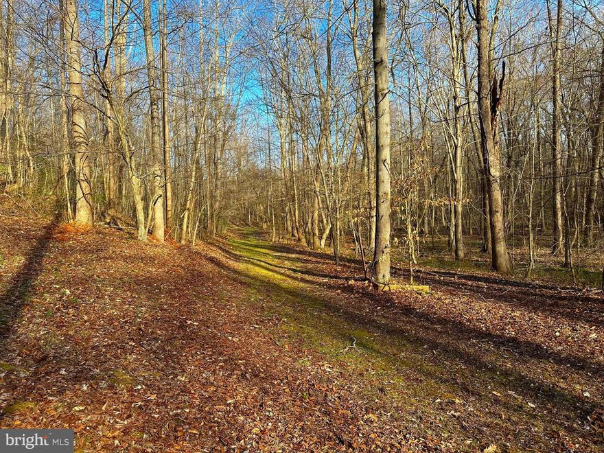 Your Private Sanctuary Awaits! Escape to this exclusive, wooded retreat.  Imagine building your dream home nestled among mature trees, just moments from the best of the Chesapeake Bay.  Whether it's a morning stroll on the boardwalk, a day of crabbing and fishing or an evening of dining and entertainment, everything is at your fingertips. This is more than a lot; it's your gateway to endless coastal fun.   Previous Percs but will need new. Buyer to confirm all with county.
