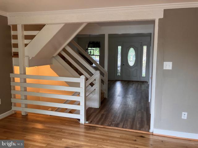 GREENWICH HILL - Residential Lease