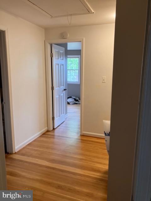 GREENWICH HILL - Residential Lease