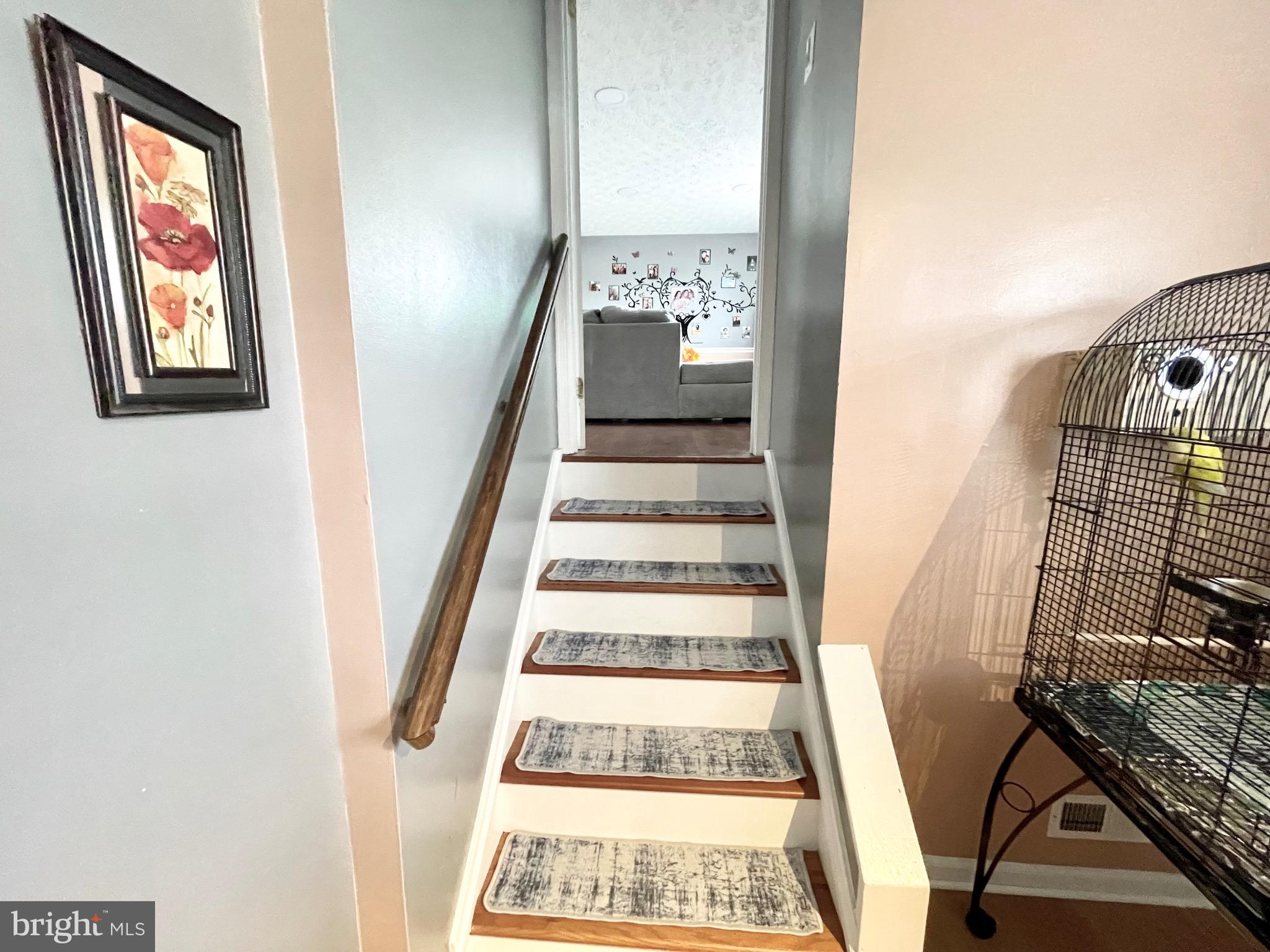 MT AIRY VILLAGE - Residential