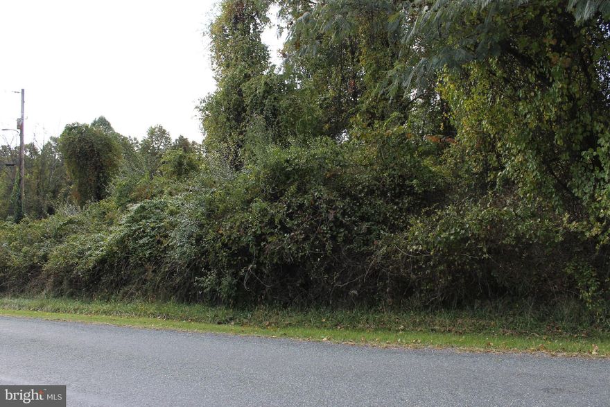WOODED 0.63 Acre lot in Carroll Valley Borough, Fairfield Area School District!  This wonderfully located parcel does require a well and perc testing.  Seller will permit perc testing with a ratified contract at Buyer's expense.  Zoned R-2 (Residential Low Density).  AND, the Seller has been advised by the County that the tax assessed value, which will take effect next tax cycle, has been reduced from $50,500 to $17,500.   Current taxes are thus reduced about two thirds.  Easy access to all commuter routes and local, state, and national parks.  Located near skiing, golfing, and many other outdoor recreational areas.  Make this larger-than-average parcel your new home site in South Central Adams County!
