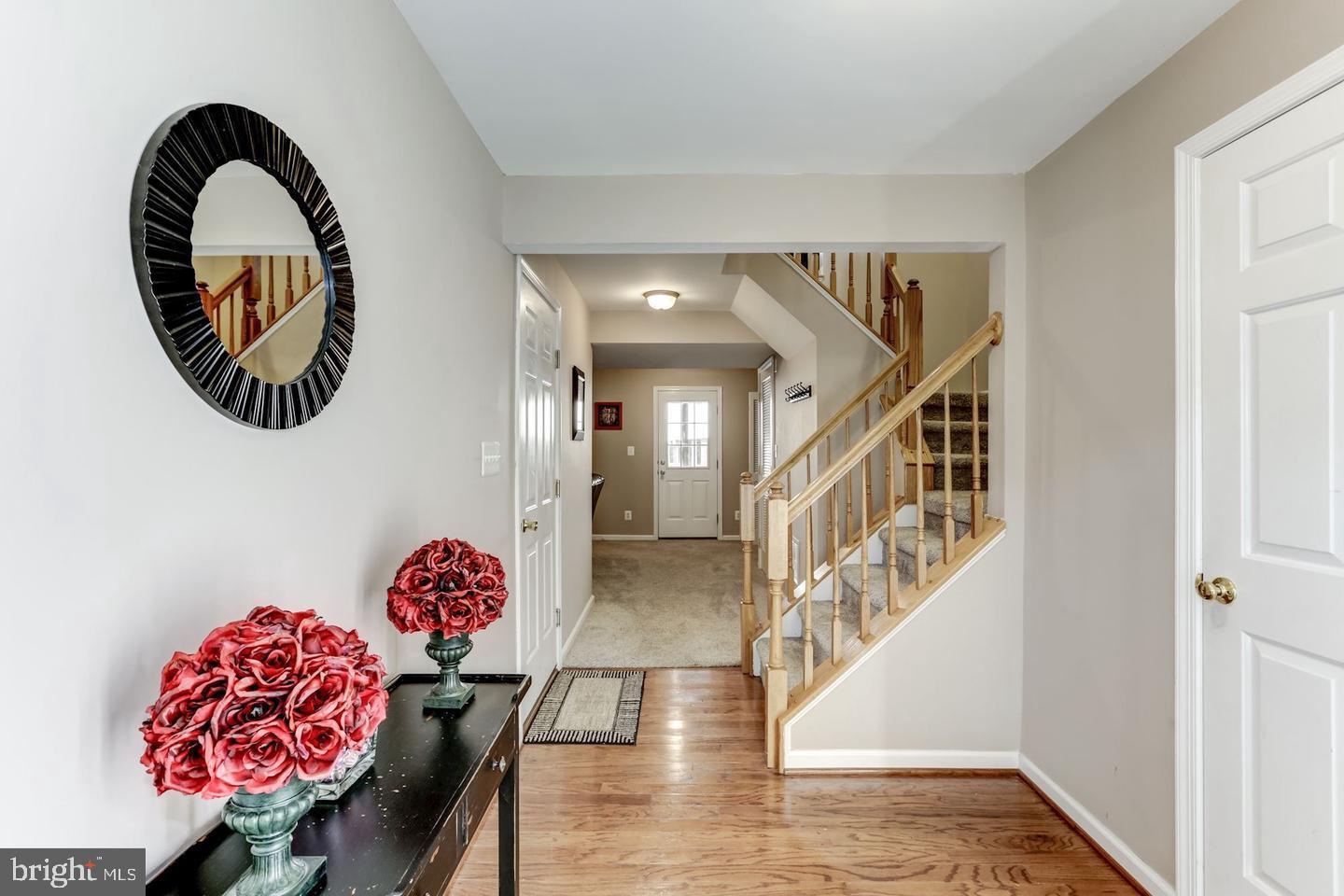 10106 SIR REYNARD LANE