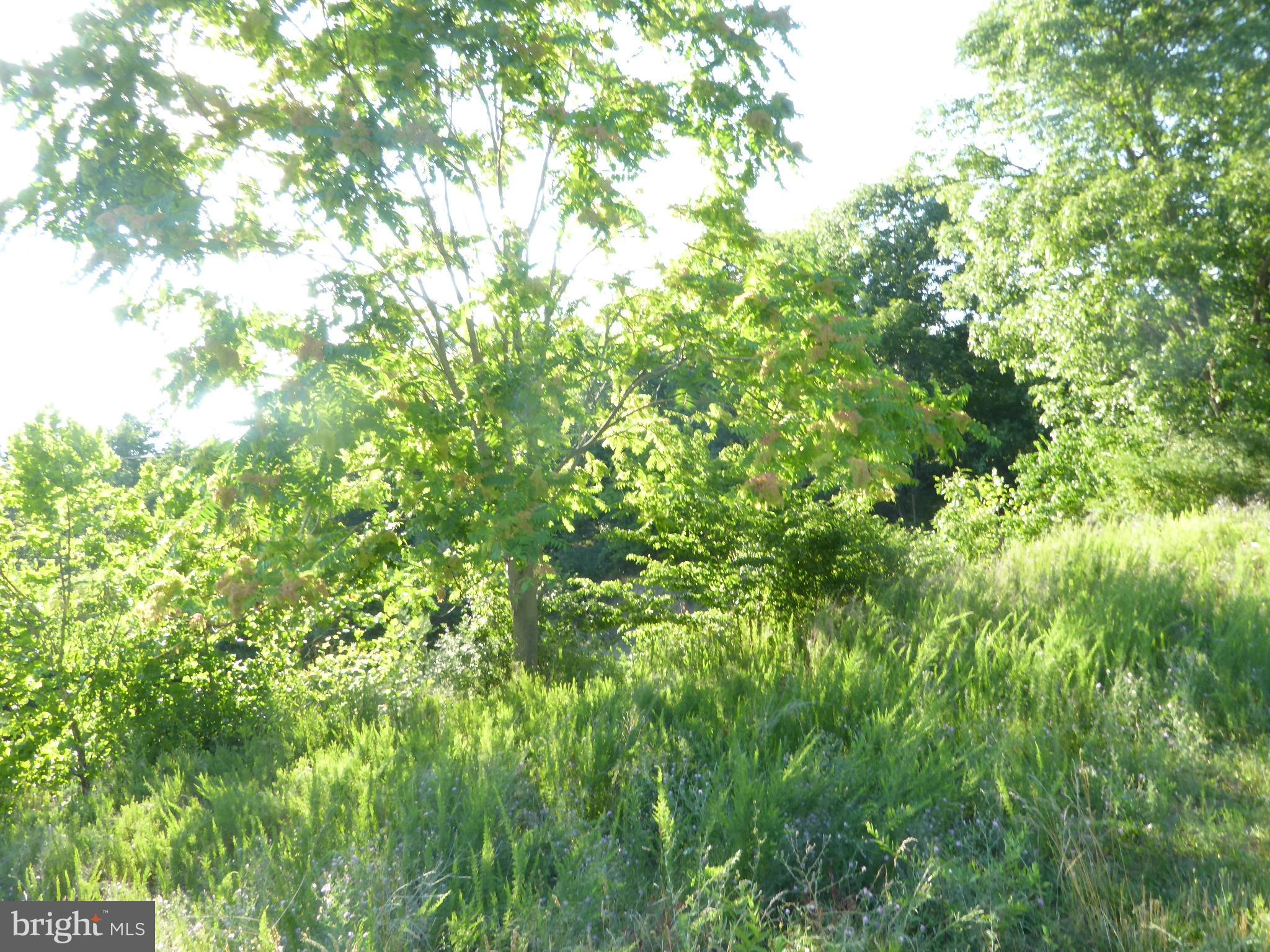 SUNRISE HEIGHTS - Land