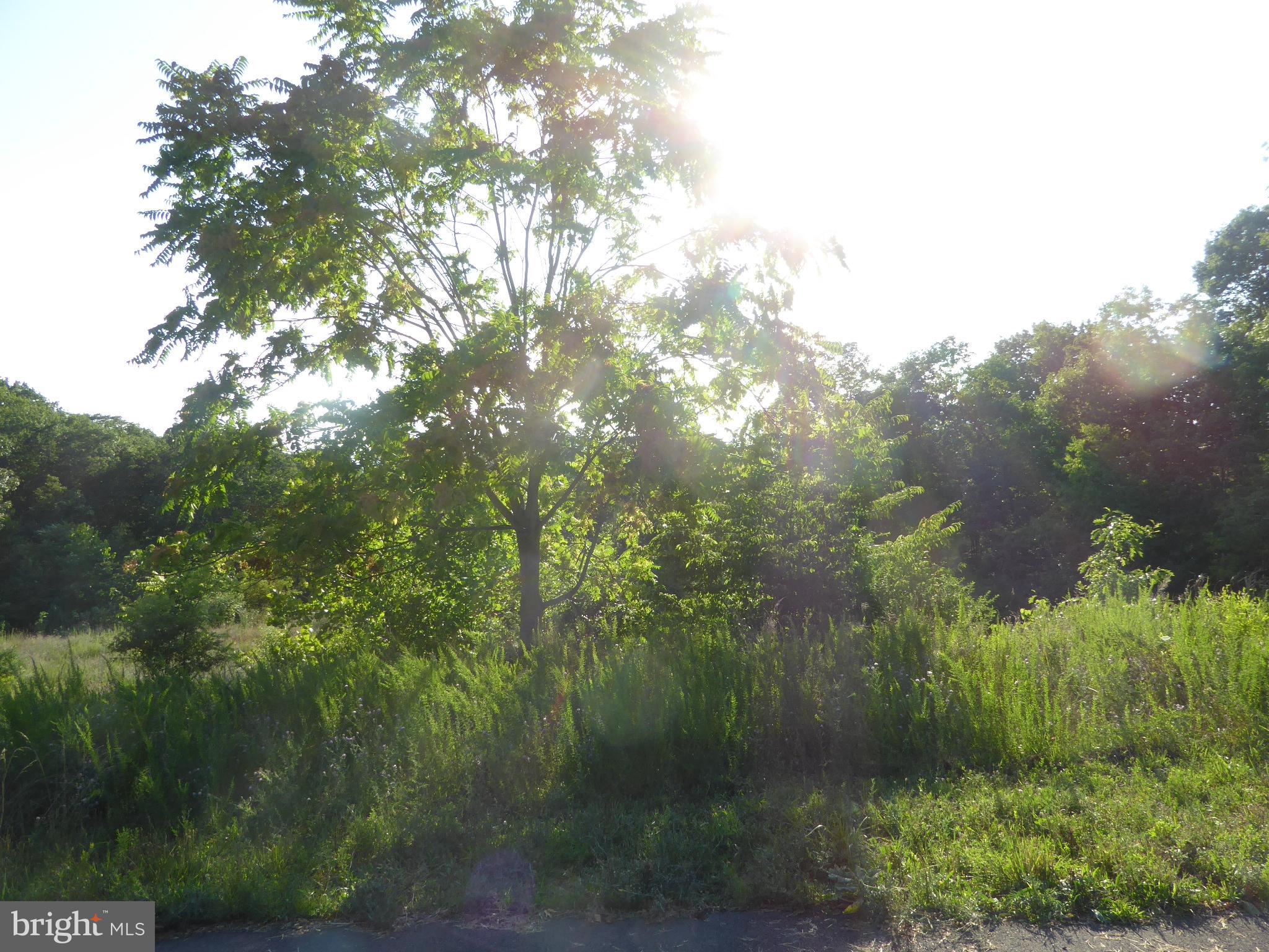 SUNRISE HEIGHTS - Land