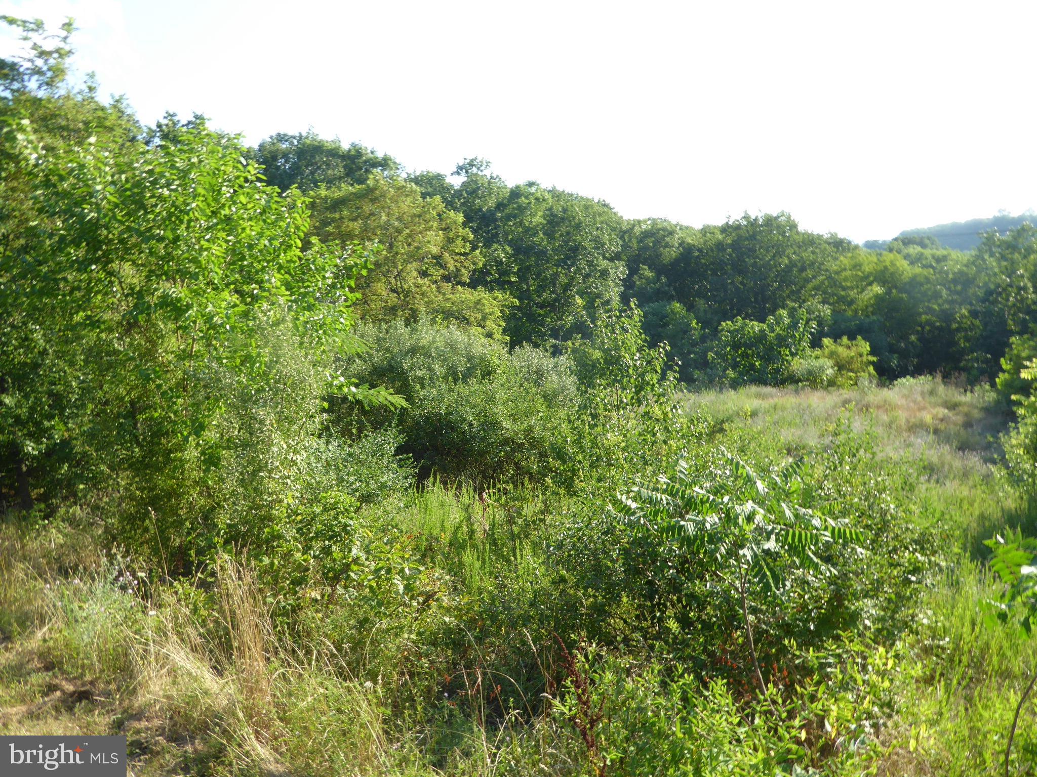 SUNRISE HEIGHTS - Land