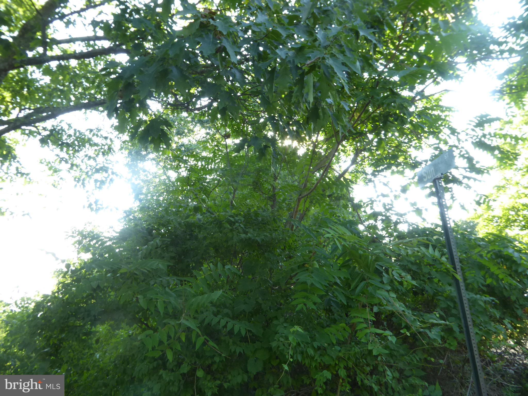 SUNRISE HEIGHTS - Land