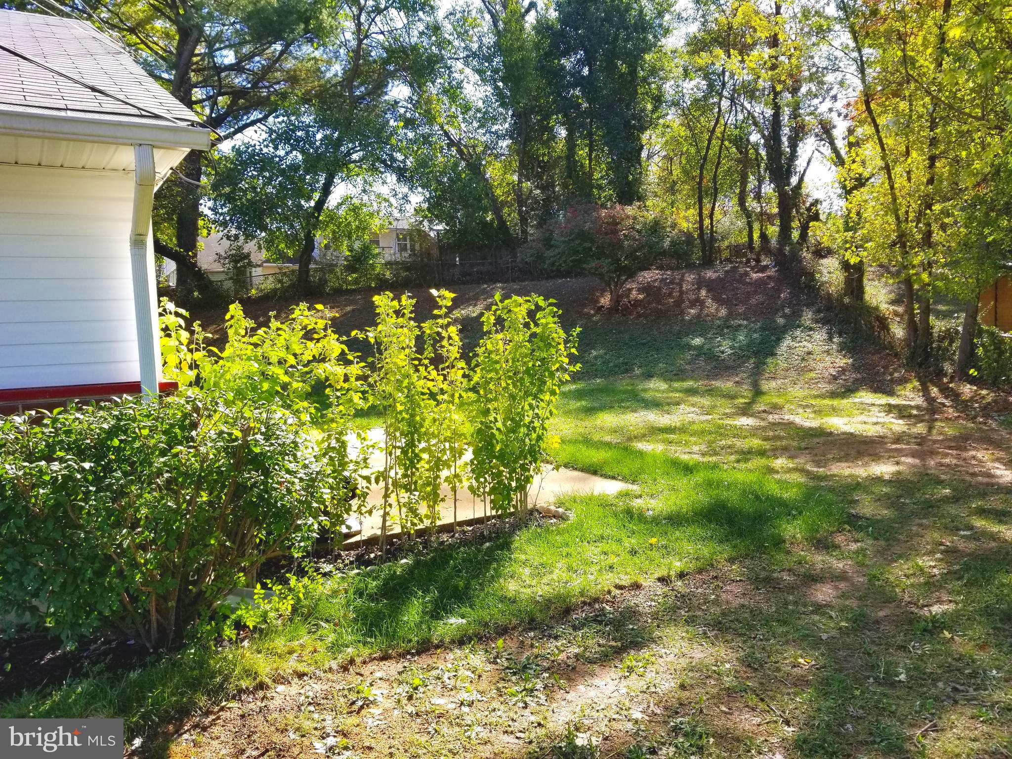 PALMER PARK - Residential