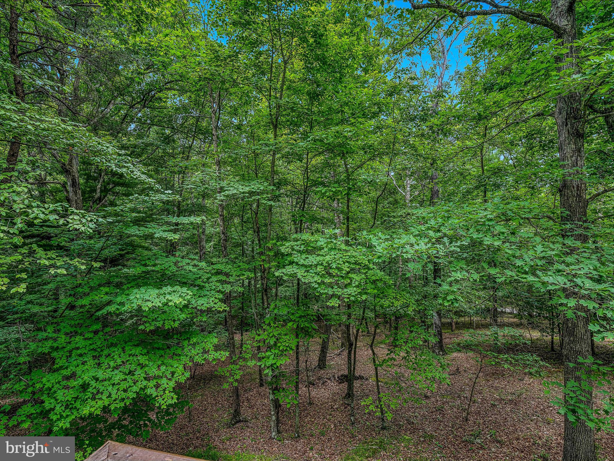 DEER SPRING WOODS - Residential