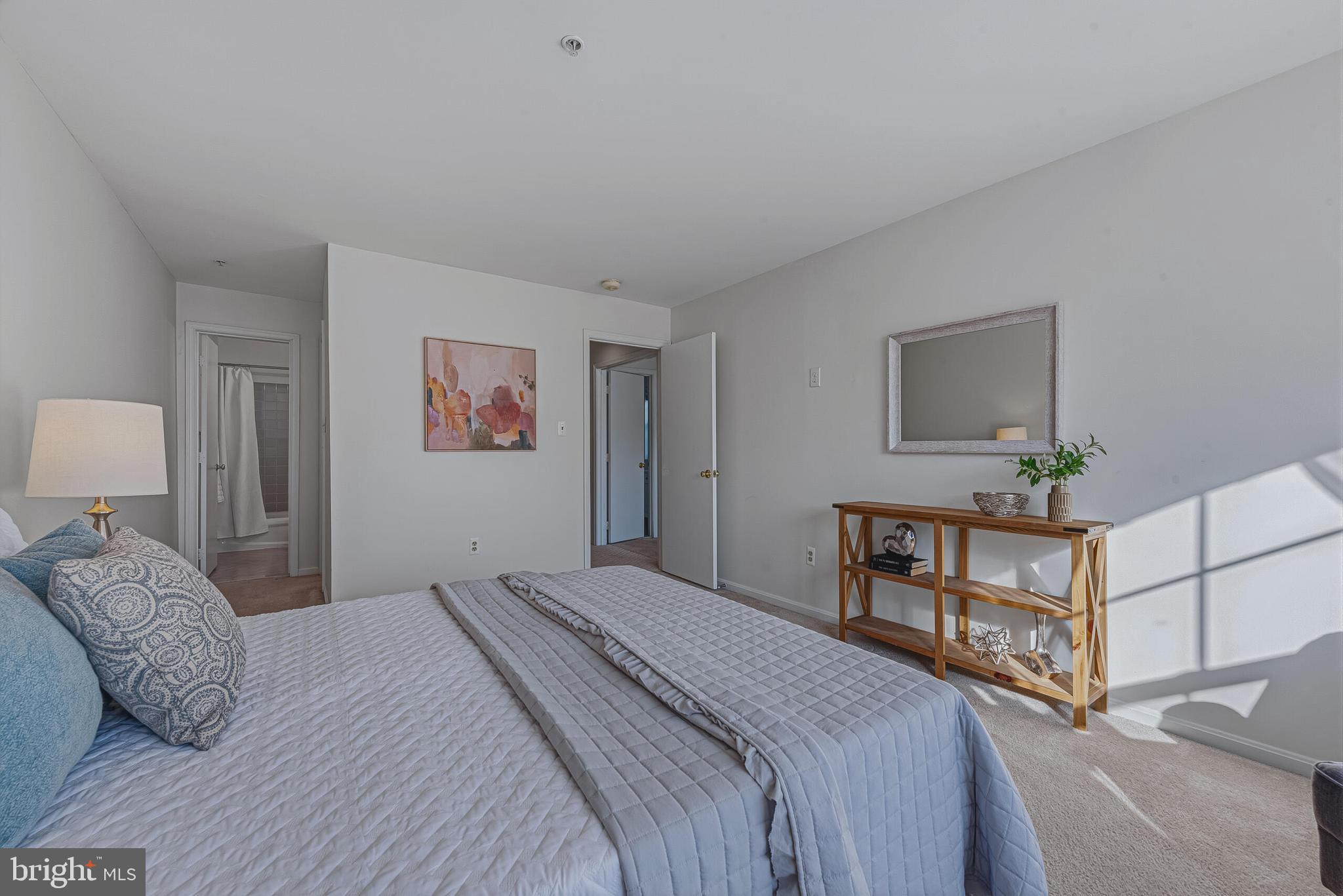 ASHBURN VILLAGE - Residential