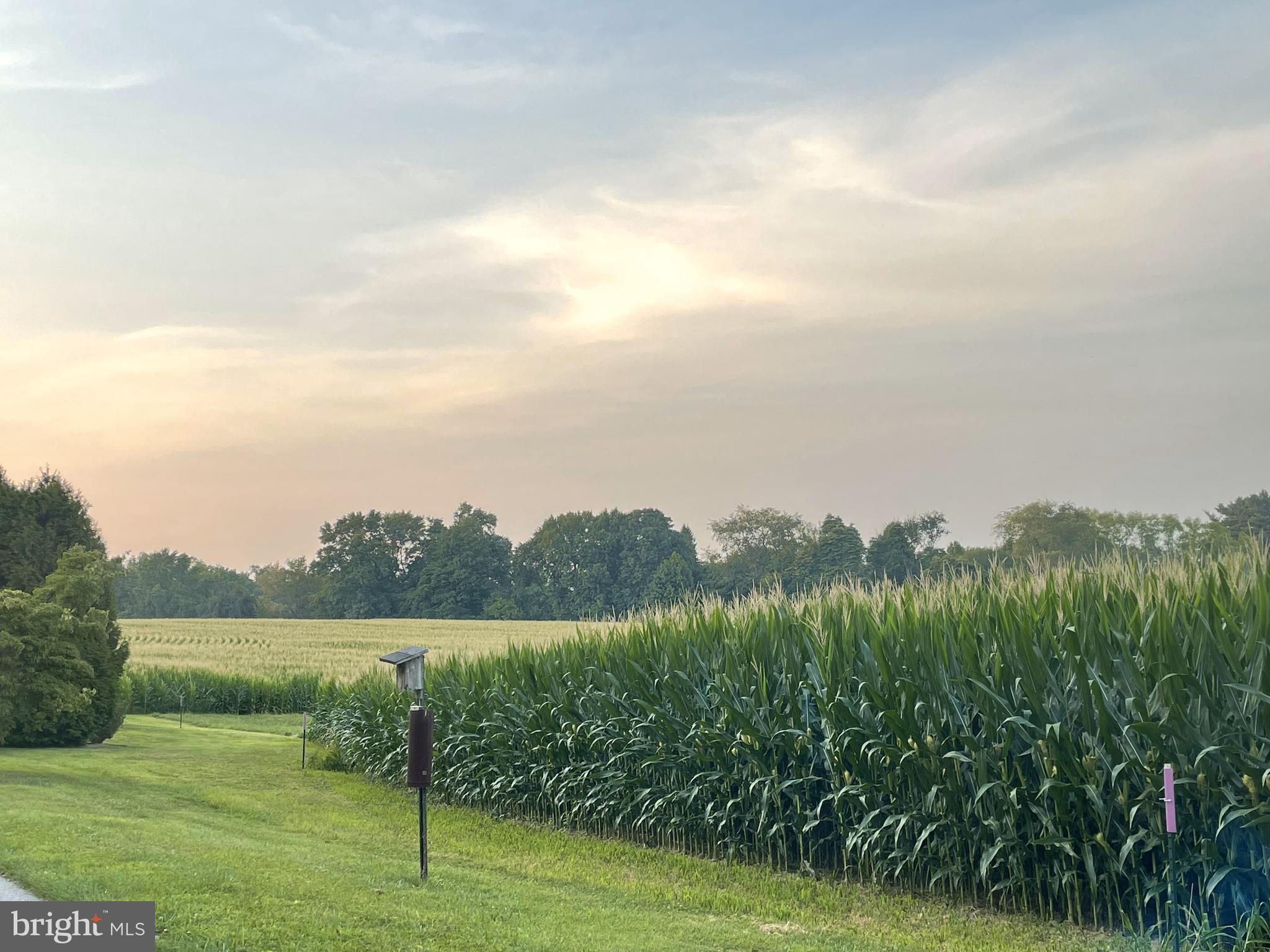 HAMORTON VILLAGE - Residential
