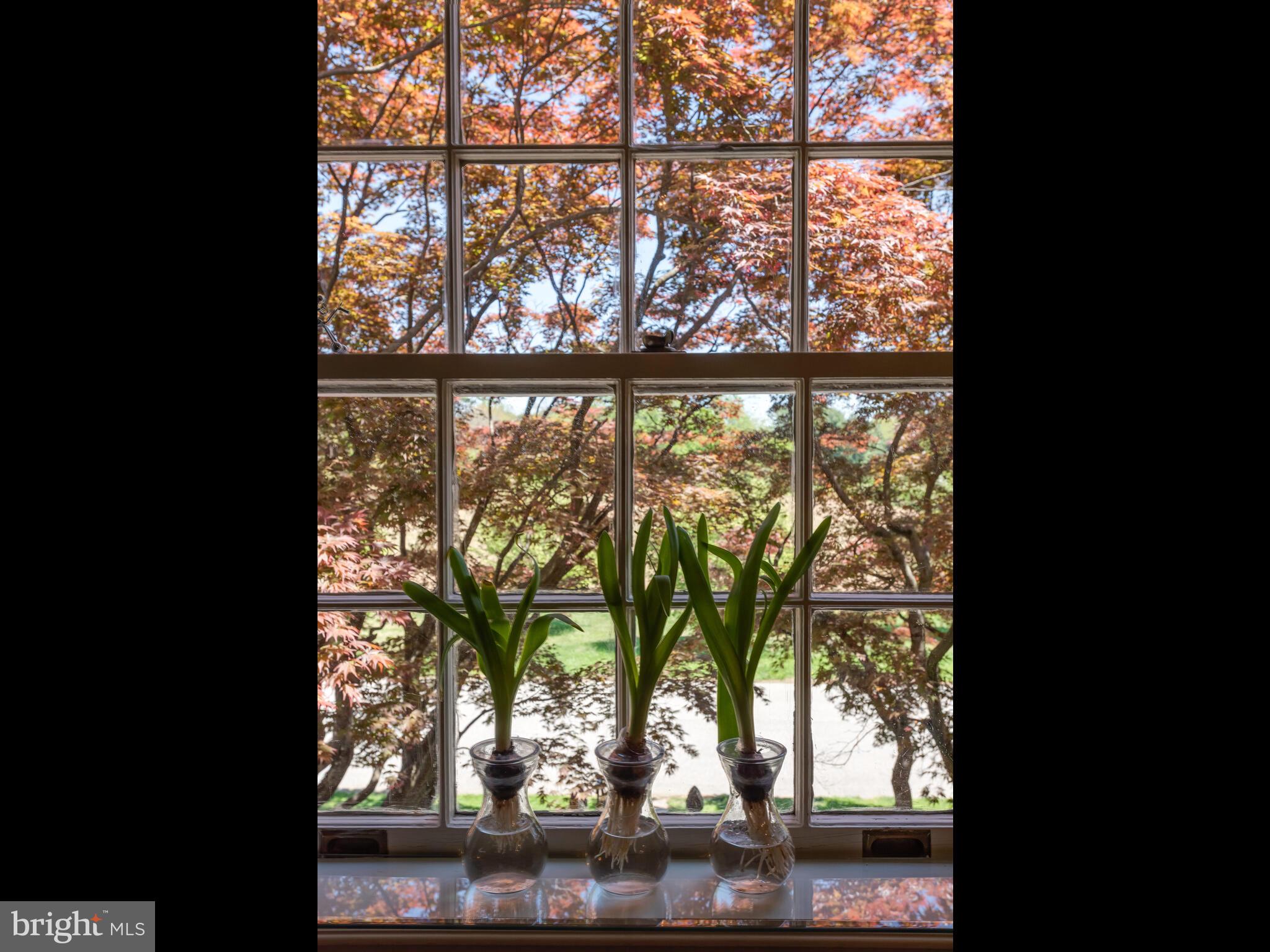 HAMORTON VILLAGE - Residential